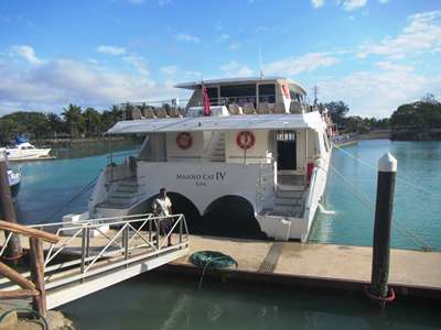 m_IMG_6035.jpg