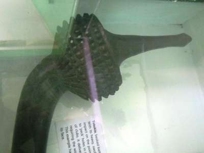 m_IMG_6110.jpg
