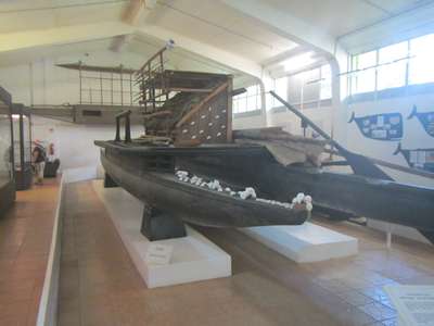 m_IMG_6100.jpg