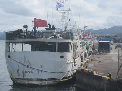 m_IMG_6076.jpg