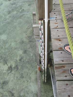 m_IMG_6299.jpg