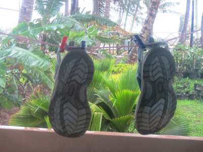 m_IMG_6419.jpg
