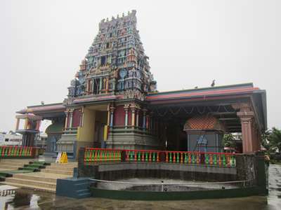 m_IMG_6444.jpg