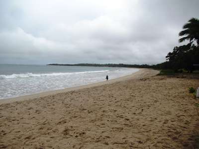 m_IMG_6436.jpg
