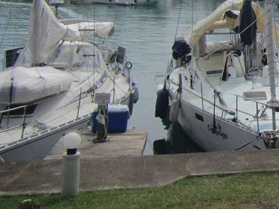 m_IMG_6480a.jpg
