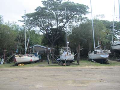 m_IMG_6482.jpg
