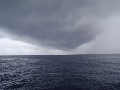 m_P9060450.jpg