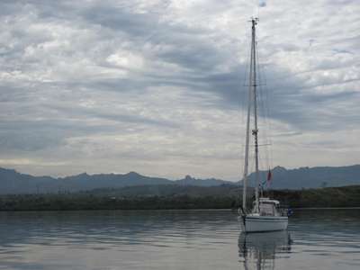 m_IMG_9229.jpg