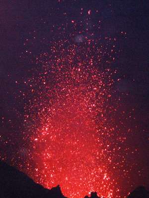 m_DSC_7787a.jpg