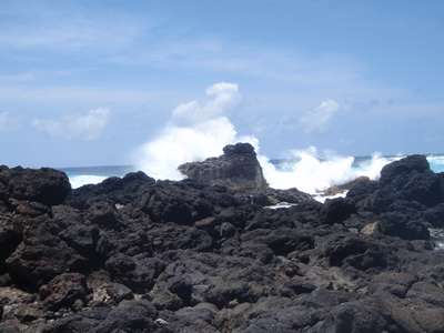 m_PA090080.jpg