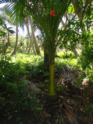 m_PA090091.jpg