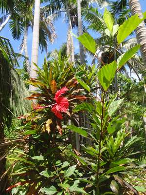 m_PA090092.jpg