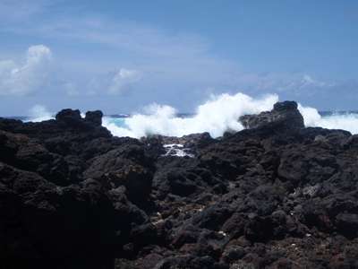 m_PA090086.jpg