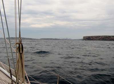 m_IMG_6982.jpg