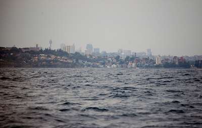 m_DSC_7885.jpg