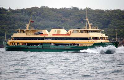 m_DSC_7913.jpg