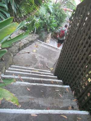 m_IMG_7389.jpg