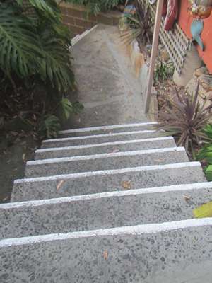 m_IMG_7390.jpg