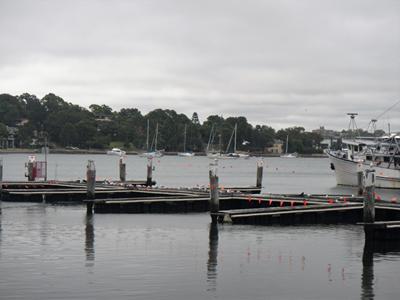 m_IMG_7444.jpg