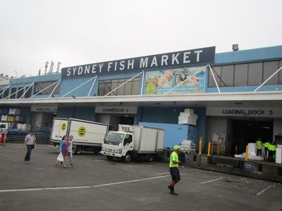 m_IMG_7447.jpg