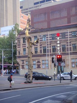m_PC240712.jpg