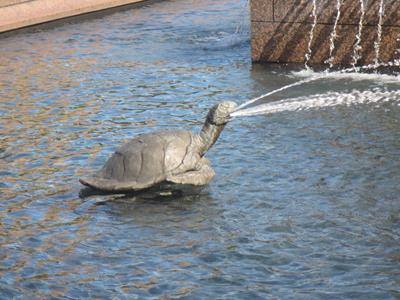 m_IMG_7582.jpg