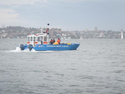 m_IMG_7674.jpg