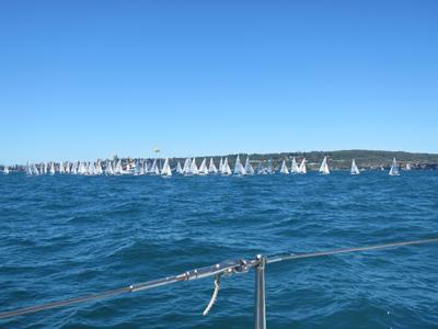 m_IMG_7854.jpg