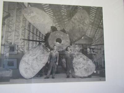 m_IMG_7786.jpg