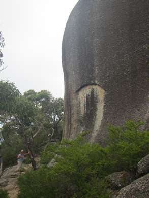 m_IMG_8435.jpg