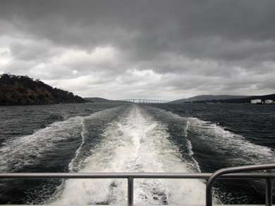 m_IMG_8557.jpg