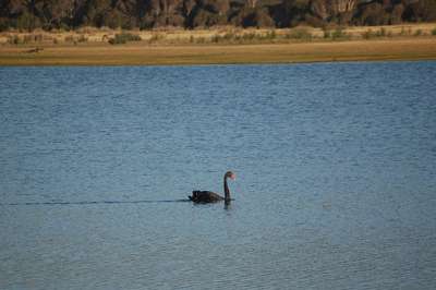 m_DSC_8252.jpg