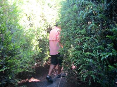 m_IMG_8780.jpg