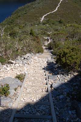 m_DSC_8360.jpg