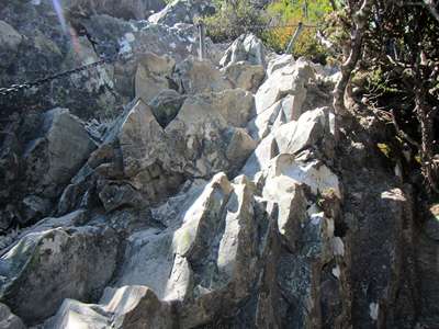 m_IMG_8915.jpg