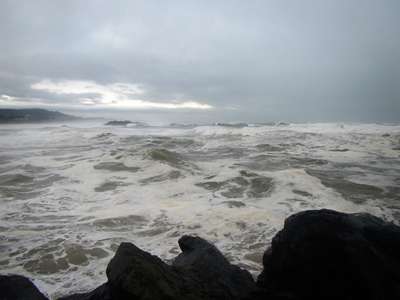 m_IMG_1575.jpg
