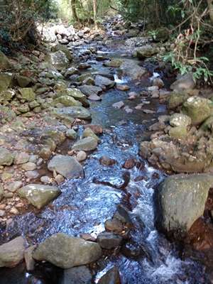 m_IMG_20170109_161034187.jpg