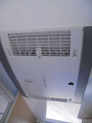 m_DSC01226.jpg
