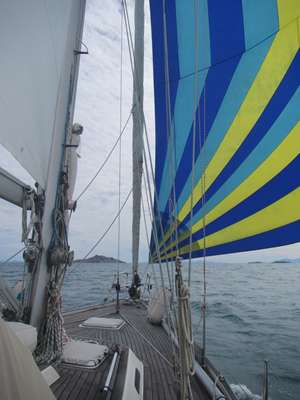 m_IMG_2848.jpg