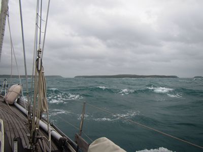 m_IMG_3133.jpg