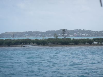 m_IMG_3156.jpg