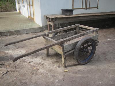 m_IMG_3461.jpg
