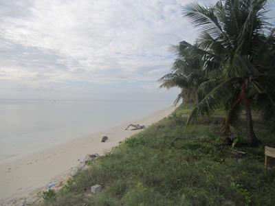 m_IMG_3463.jpg