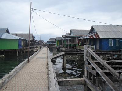m_IMG_3526.jpg