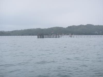 m_IMG_3488.jpg