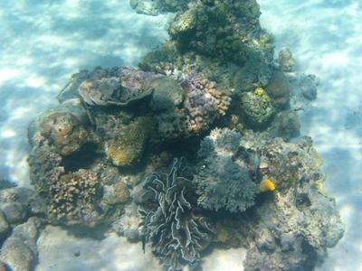 m_IMG_3761.jpg