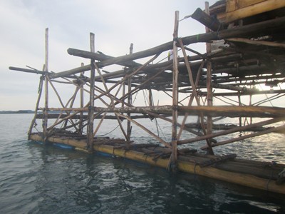 m_IMG_0071.jpg
