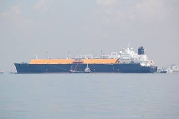m_DSC_1204.jpg