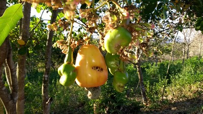 m_IMG_20170829_165331906.jpg