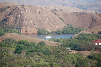 m_DSC_0085.jpg